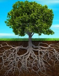 árbol genealógico ancestros emociones